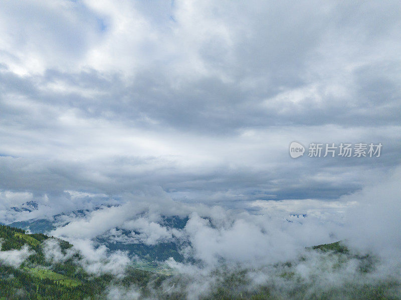 阿尔卑斯山中部东部的山地景观中有松树林