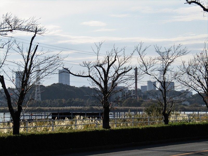 位于Teganuma湖畔的柏和市。