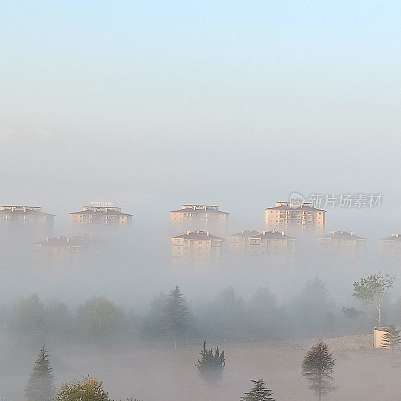 在雾中飞行家园