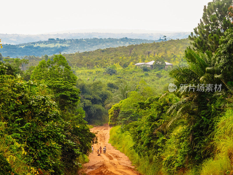 刚果共和国布拉柴维尔附近的森林