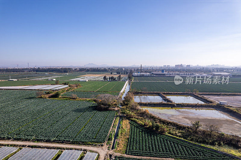 在阳光明媚的日子鸟瞰现代农业用地