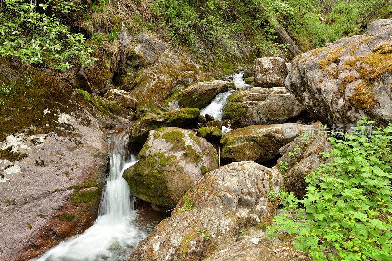 一条小河在长满青苔的岩石河岸上，以狂风暴雨的瀑布从山上流下，穿过清晨的森林。