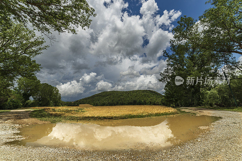 阿米莉亚和格兰德河