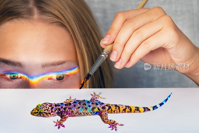 创造力。彩色壁虎由女孩画与彩虹光在她的眼睛