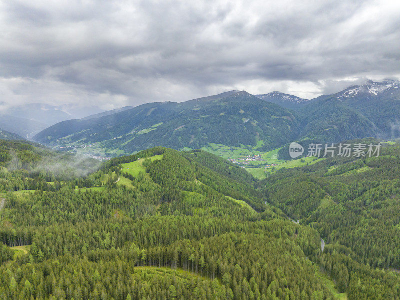 阿尔卑斯山中部东部的山地景观中有松树林