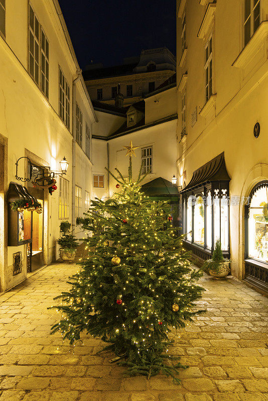 奥地利维也纳市中心街道上的圣诞树