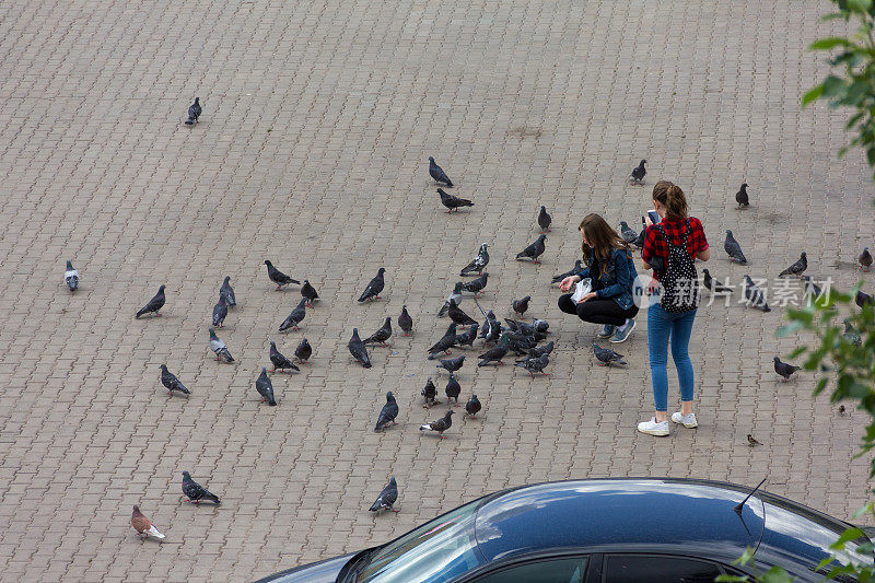 女孩喂鸽子。城市中心广场上的鸟儿和鸽子。人们喂城市里的鸟。