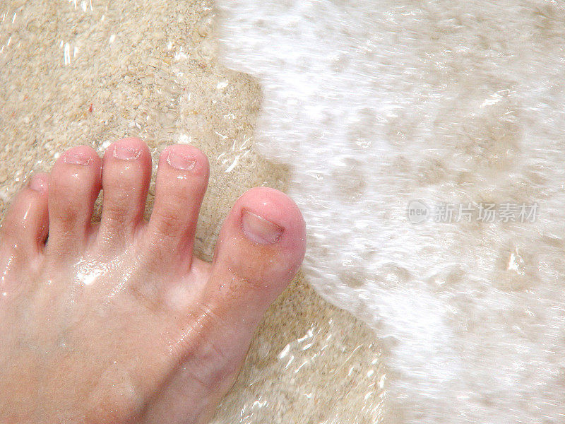 快乐的脚趾在岸上