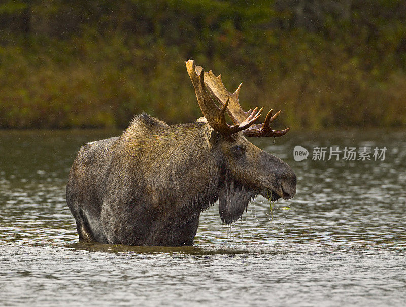 涉水早餐