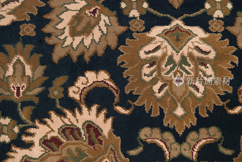 地毯或地毯-纹理在一个房子