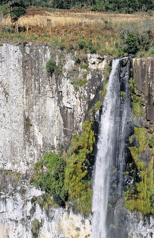 Urubici