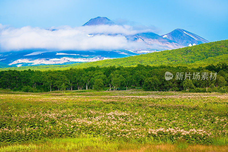 堪察加的山林