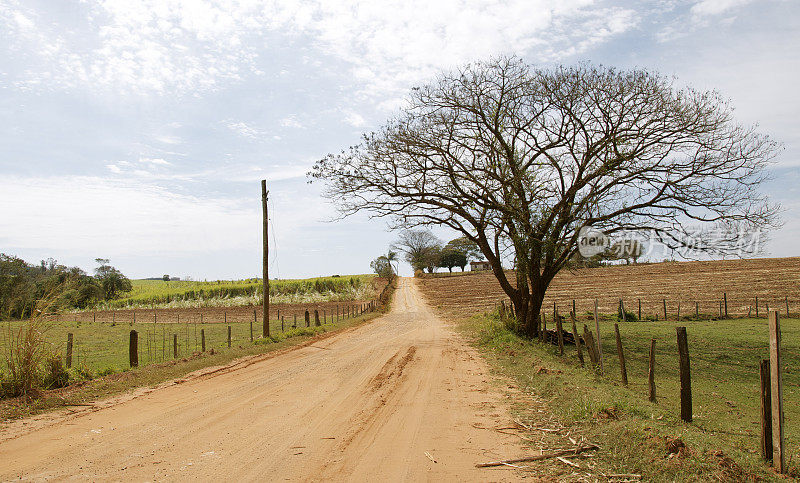 巴西农村地区