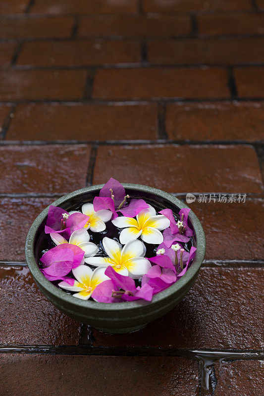 瓷碗装满水和异国情调的鲜花-stock形象