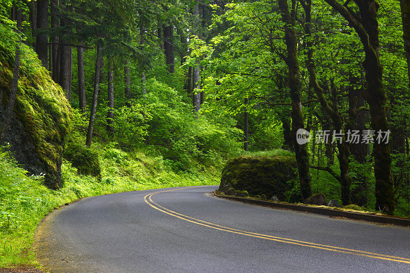 历史悠久的哥伦比亚河峡谷公路泉