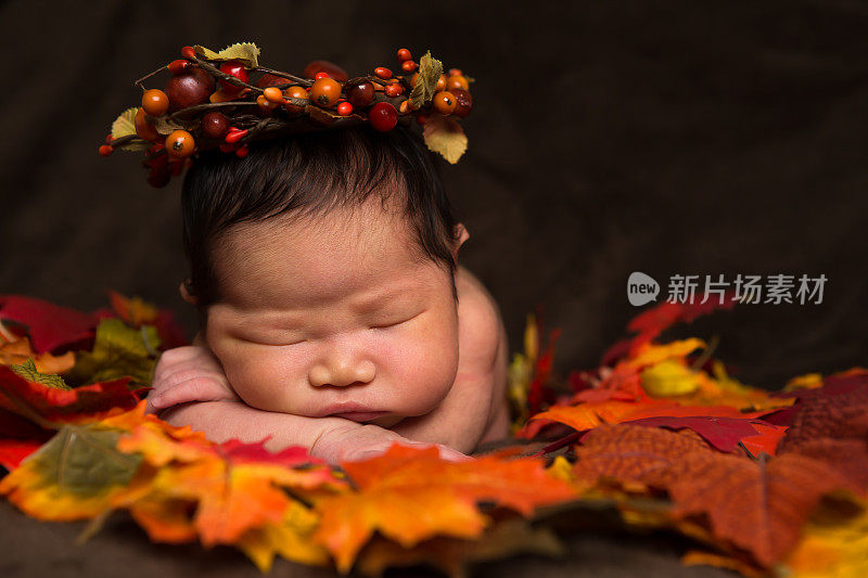 新生女婴躺在秋叶上