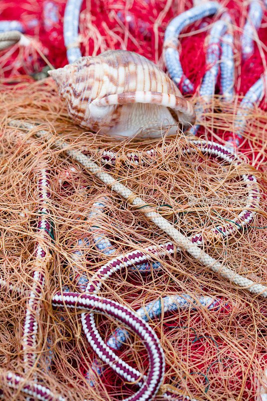 红绳和网上的海贝壳
