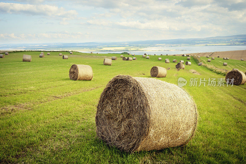 苏格兰沿海乡村景观中的稻草卷