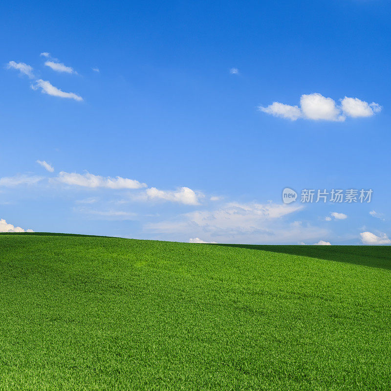 广场春景——草甸，蓝天