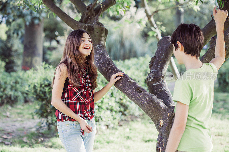 男孩和女孩在树下聊天