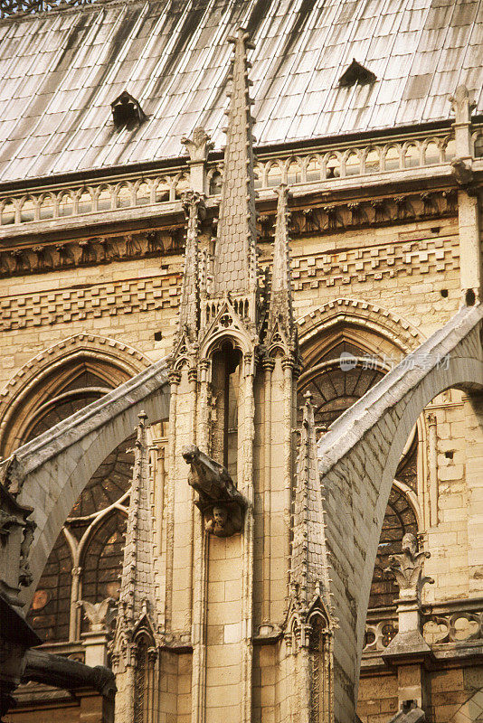 巴黎圣母院的细节