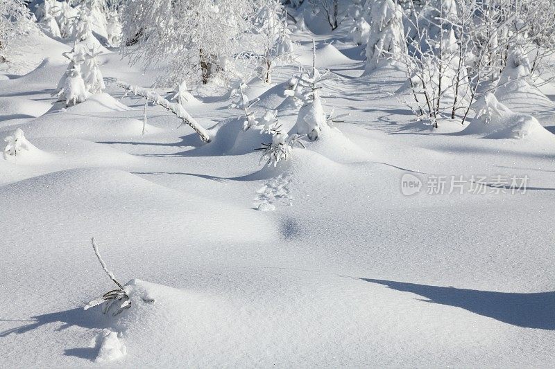 黑森林的冬季景观