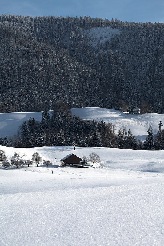 冬季美景Hütten，上面的苏黎世湖，瑞士