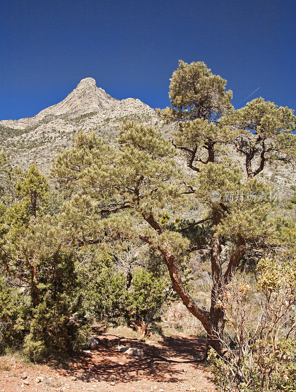 内华达州红岩峡谷附近的景观