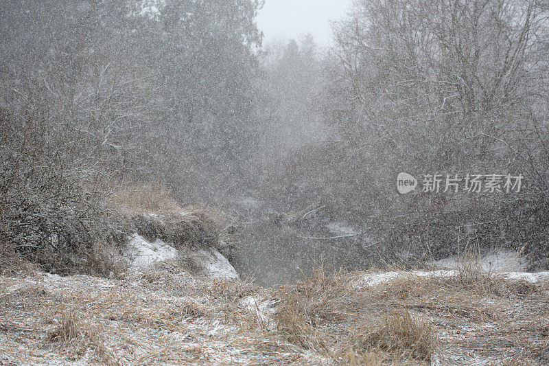 加拿大不列颠哥伦比亚省，弗雷泽谷，尼科梅克河上正在下雪