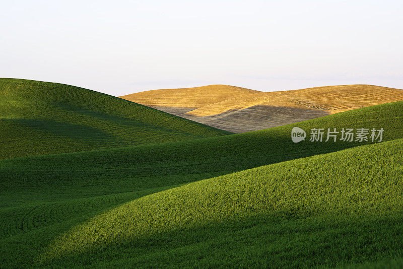 金色日落在田园诗般的农田景观