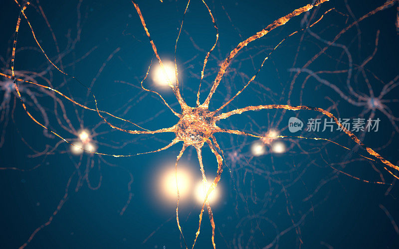 活跃的神经元细胞，突触网络