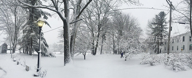 雪景中的灯笼