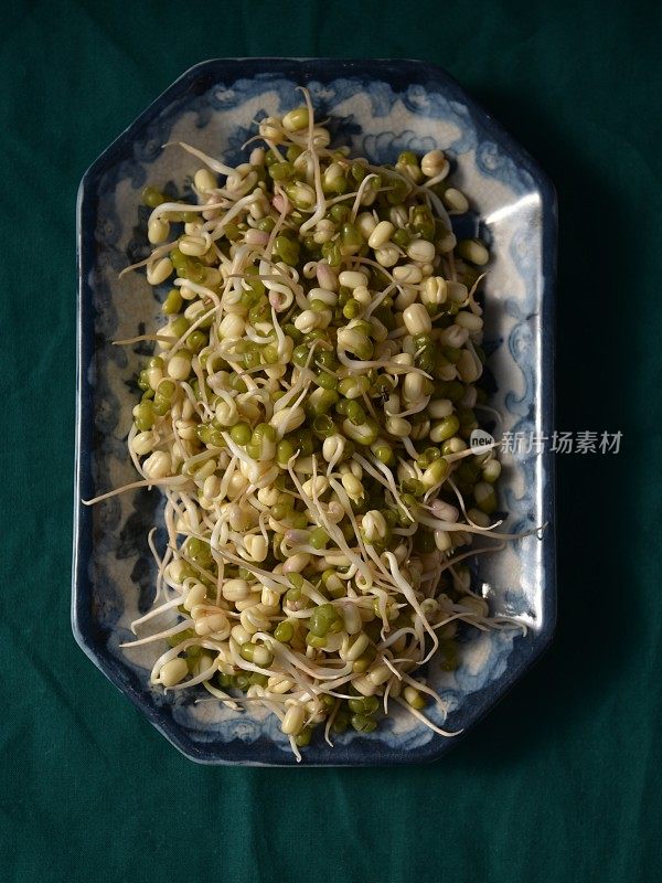 绿豆发芽