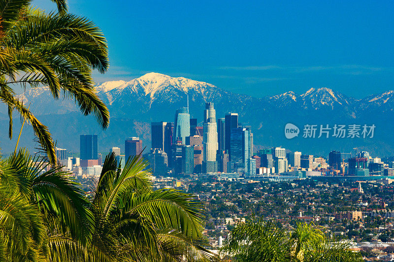 洛杉矶天际线与雪山，框架与热带棕榈树