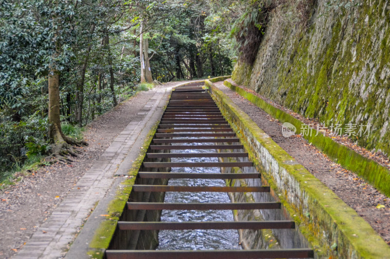 日本京都的哲学家之路