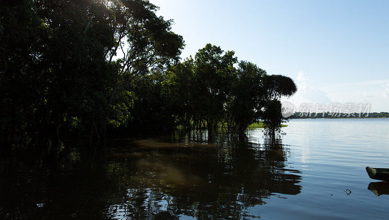 巴西的亚马逊湿地