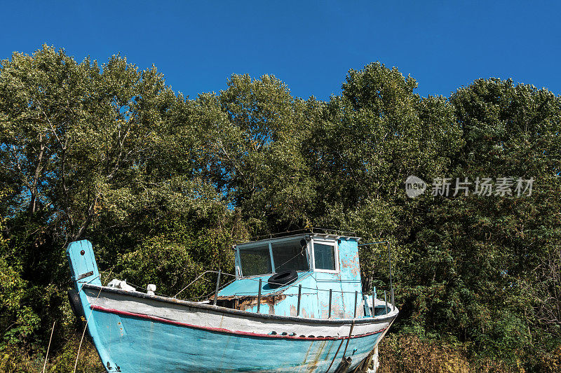 希腊哈尔基迪基森林中被遗弃的船
