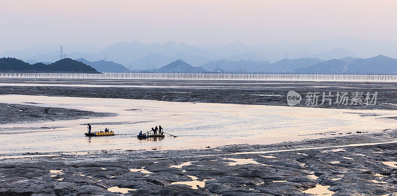 日落时分，乐清湾的渔民在划船。