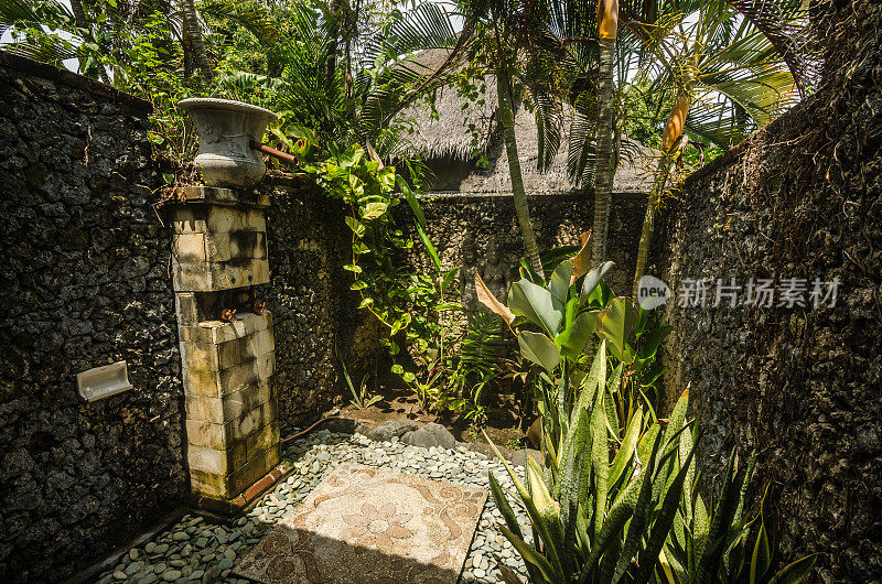 印度尼西亚的棕榈树和植物