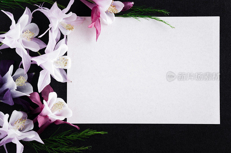 白色空白的吊唁卡与鲜花在黑暗的背景。文本的空位置。