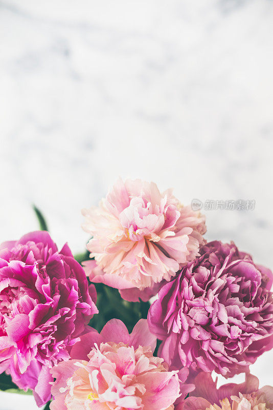 大理石背景上的粉色牡丹花束