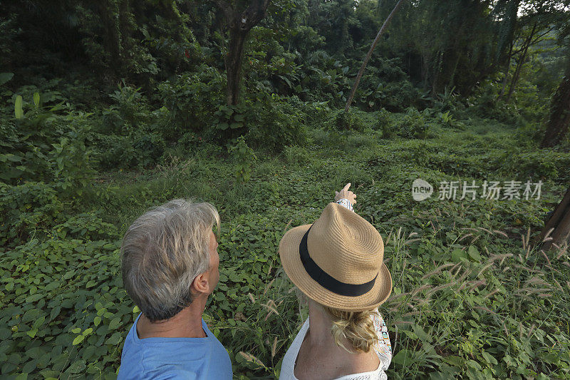 在探险过程中，一对夫妇凝视着丛林