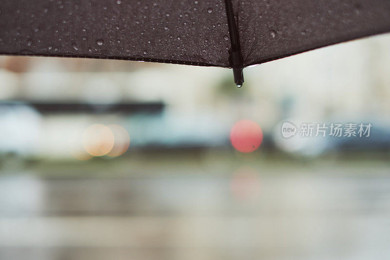 下雨的春日下了一把伞