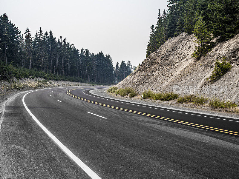 蜿蜒的乡村道路上有针叶树