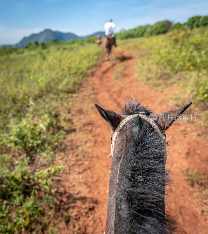 在古巴的比纳莱斯山谷骑马