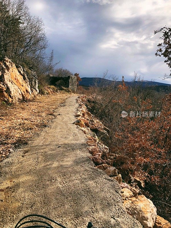 年轻的夫妇山地自行车在克罗地亚的森林尽头的道路