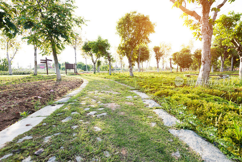 公园里空荡荡的石头路