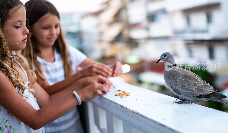 两个美丽的女孩在喂鸽子