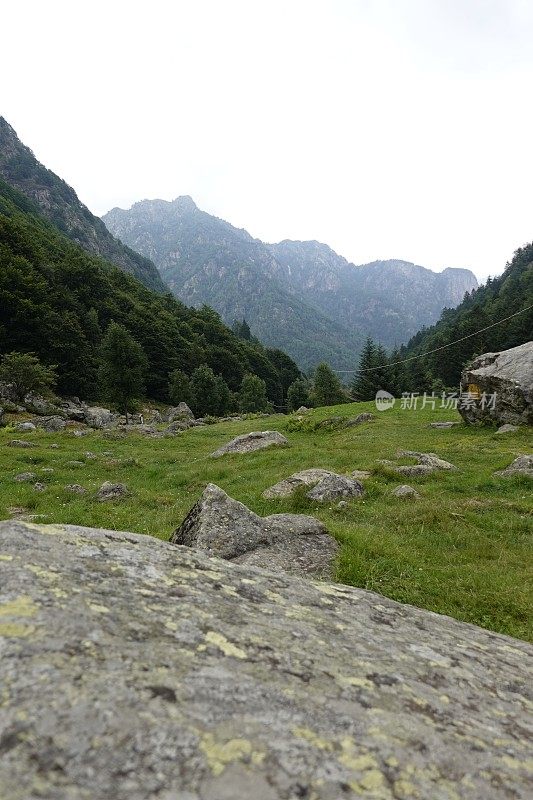 白云石山脉阿尔卑斯山