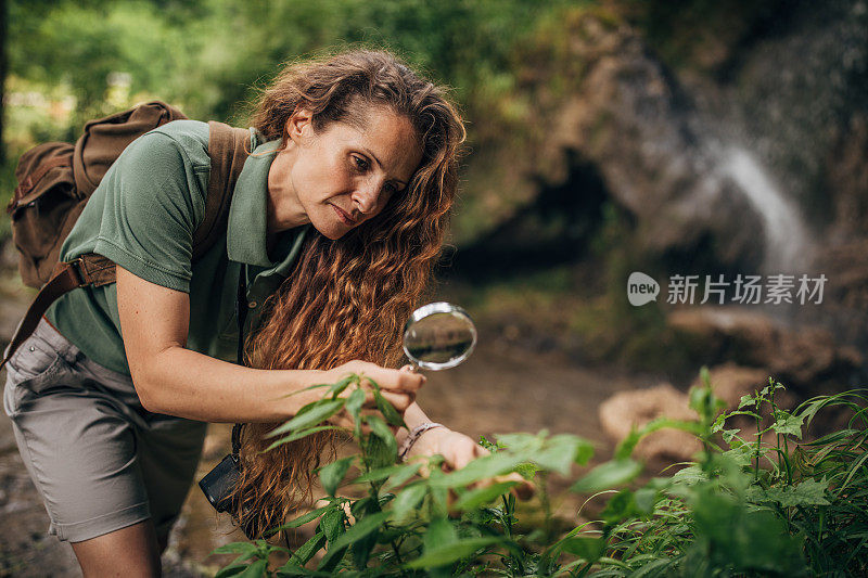 探索自然界植物的女性生物学家